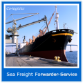 high reputation sea freight agent in Guangzhou